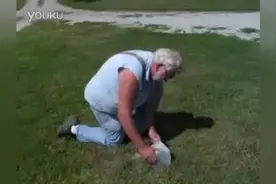 大爷教你怎样抓地鼠视频封面