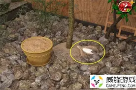 《密室逃脱:逃离公寓7》图文通关攻略（四）图片