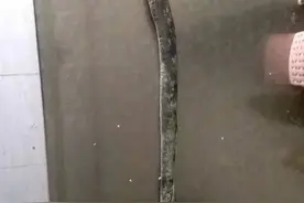 这么丑的食材也能做出美味料理？七腮鳗不服图片