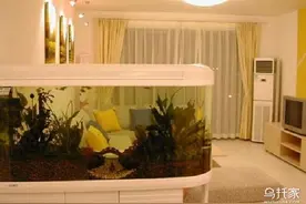 必须注意的鱼缸摆放位置风水禁忌图片