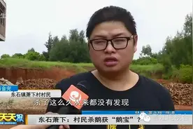 一村民宰杀了自家养的鹅，杀完后他震惊了.....图片