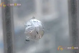 家中窗户惊现“弹孔” 双层隔音玻璃被击穿图片