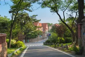 公交游青岛，7条线路，一站一景，邂逅最美秋景！图片