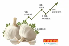 10元/斤 蒜难卖图片