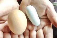 日照五莲蛋鸡产下“拇指蛋” 专家表示不宜食用图片