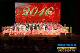 防城港市举办2016年迎春文艺晚会图片
