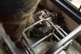 214路公交车上的奇葩座位 乘客也是醉了图片