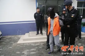 4蟊贼入室盗窃一偷一单元 用一张塑料片3秒开门图片