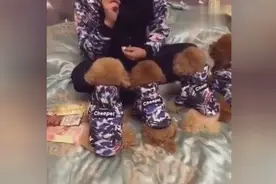 这“情侣装”好有爱啊！狗狗穿“情侣装”坐一起，画面太美！视频封面