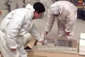 李洪波纸雕艺术制作奥秘，工匠精神视频封面