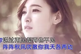 程响《不该相遇在秋天》片片枫叶飘落，是我对你思念视频封面