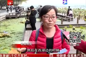 杭州：金色梧桐 渲染秋意视频封面