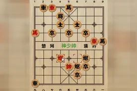神少帅讲解弃子攻杀的最高境界图片