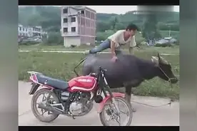 史上最牛的摩托哥，史无前例（南宁牛人）视频封面