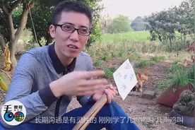 农村小伙用这种方法引公鸡狂鸣，这些事你小时候干过多少视频封面