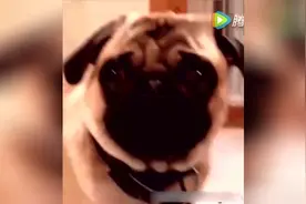 小伙子太会演戏，地铁没人让座用这招！自然就有位置了！视频封面