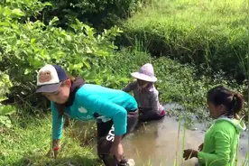 在水沟里放个笼子，把田螺拍碎了做诱饵，6个小时以后有收获了图片