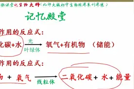 生物大师：光合作用vs呼吸作用图片