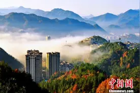 浙江磐安：动静皆宜山水间 药香古村入画来图片