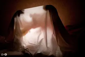 小说：一人一狗聊天，狗说有个和尚应世了，人说一块牌牌卖二十亿图片