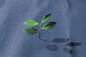 小说：他是监狱囚犯，却攻破世界七大千禧难题之一，创造历史图片