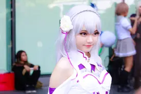 小说：交出你的方糖，黑蚂蚁惨遭红蚂蚁打劫图片