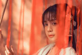 小说：保底一万字更新，绝不断更几十万存稿，番茄疯子就是肝图片