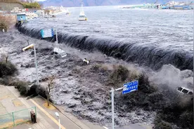 为何面对海啸时，开船的人会拼命冲向海啸？今天可算知道了