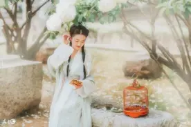 小说：小狐狸和猫相遇，发现猫看自己的眼神太炙热，吓得把猫拍飞图片