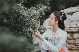 小说：强者与宿命之间的对决的前夜图片