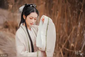 小说：王妃一条腿受伤无知觉，却还能单手反擒王爷，让他屈膝在地图片