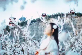 小说：她快要追上小偷时，突然脚被人抓住，把她从半空中拉了下来图片