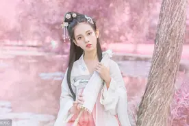 故事：后宫佳丽等级分明，贵人以上才有封号，所有人以封号为荣图片