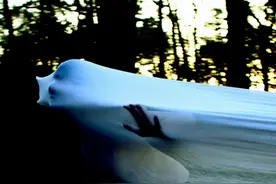 小说：小伙被古墓中的怪物追得乱窜，前辈却说那些东西没有恶意图片