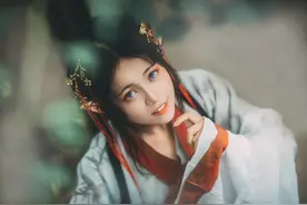 小说：拥有鲲鹏血脉的青鸟！到底是鱼出了轨？还是鸟移情别恋？图片