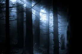 小说：只因要保住女孩的命，他的千年修为被废，事后赖上了女孩图片