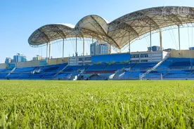 小说：都是打篮球的，你知道国家队的大门朝哪开吗？图片