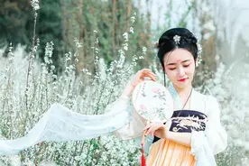 小说：乡下媳妇，居然会识字出口成章，怎知已经换成穿越女孩了、图片
