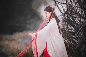 小说：诸天之战后，灵界四府关系破裂，主角竟在这样的背景下出生图片