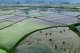 公制单位1平方千米，相当于农村说的多少亩地呢?视频封面