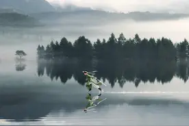 小说：不吃不知道，原来人参果的效果，不仅是长生。图片