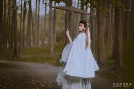 小说：老宋：我做的这一切都是为了丐帮图片