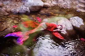 小说：一只小雪狐正在摇头晃脑的讲故事，原来她来自那儿图片