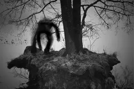 小说：半夜敲门，敲三声是人，敲四声坚决不能开门，得让门外重敲图片