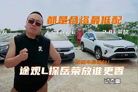 都是低配版，途观L探岳荣放你咋选？