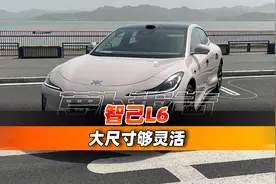 大尺寸够灵活 智己L6｜聚光电场视频封面