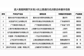 突发“卡机”，方向盘跑偏，被吹爆的智驾技术成了“定时炸弹”？图片