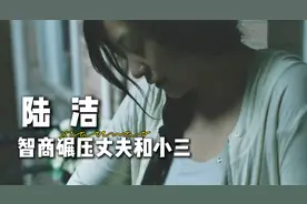 以陆洁的第一视角，打开与渣男老公的不幸人生