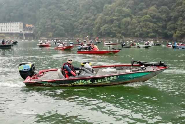 万人露营大会招募中丨11月8-16日，3000顶帐篷露营海花岛