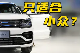 探店丨大众途岳：只取悦了大众粉，却没取悦大众？图片